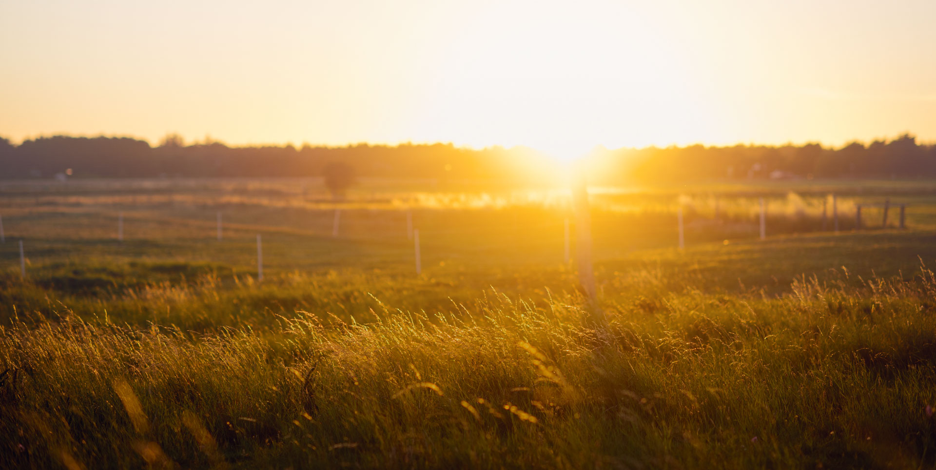 Our Story - Paris Creek Farms